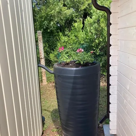 Relax 公寓 乔保克